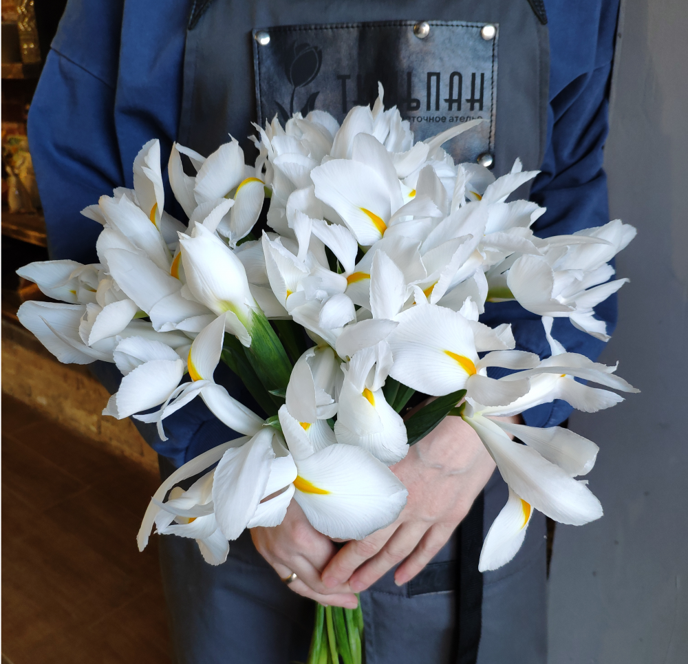 Ирис Белый 15